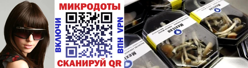 Купить  Старый Оскол  Галлюциногенные грибы Psilocybe 